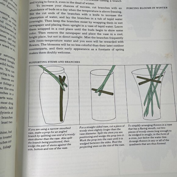 How to Decorate With Plants Time Life Encyclopedia of Gardening 1978 u - Picture 9 of 12